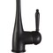Anzzi Patriarch Single Handle Kitchen Faucet in Oil Rubbed Bronze KF-AZ198ORB - alternate 8